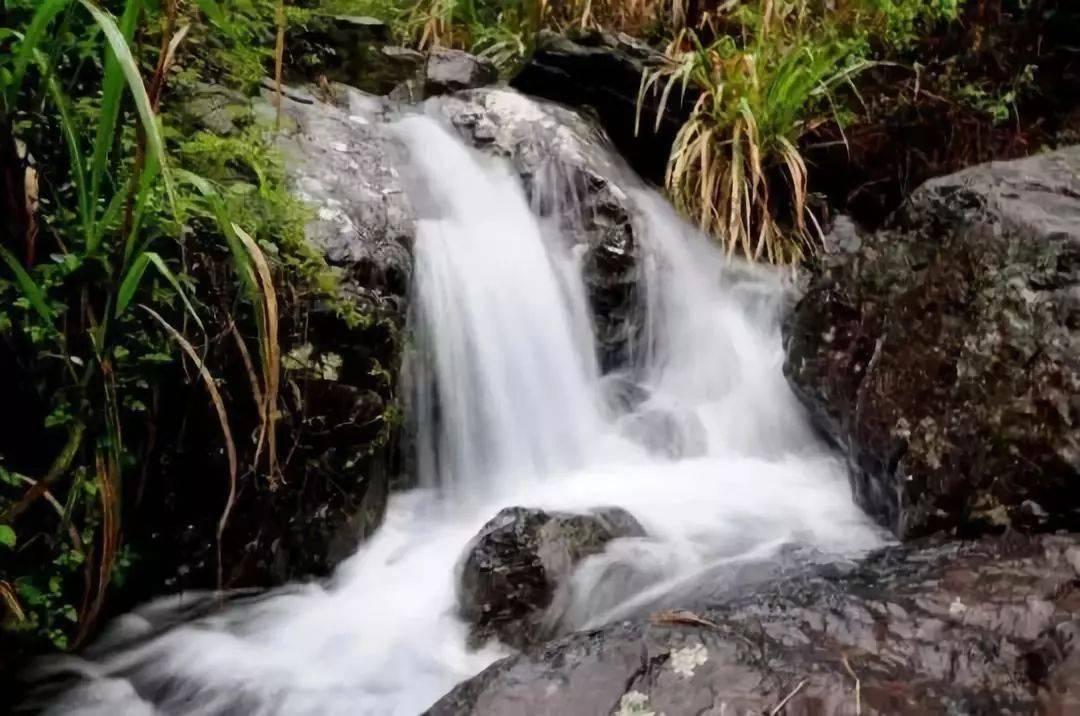 逃离水虎鱼湖