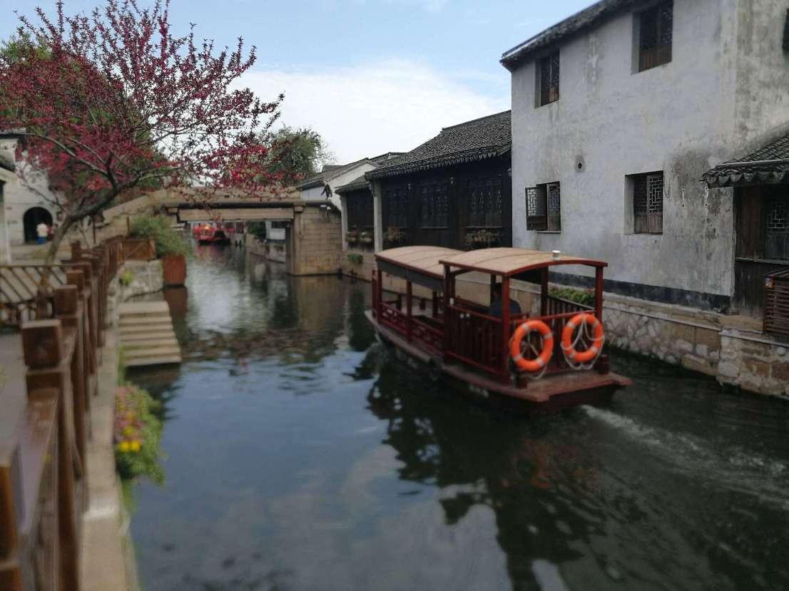 照顾小兔宝宝
